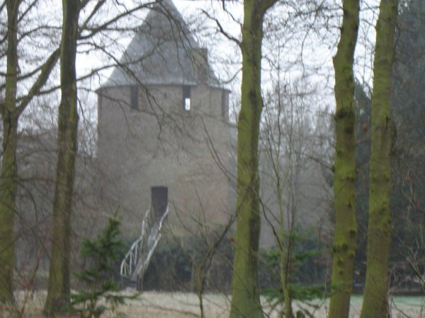 Photo1155-9